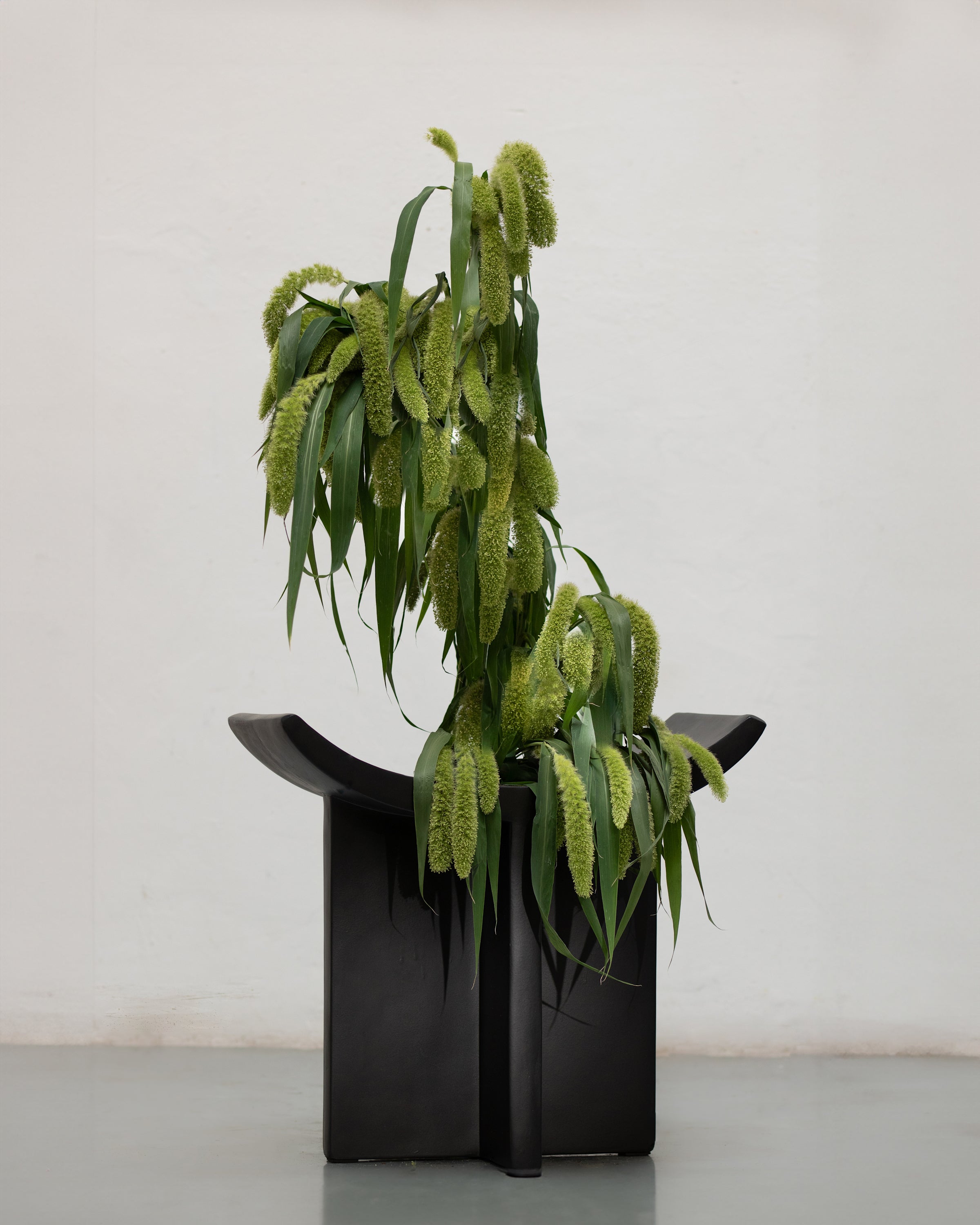 Brutus Stool - Coffee