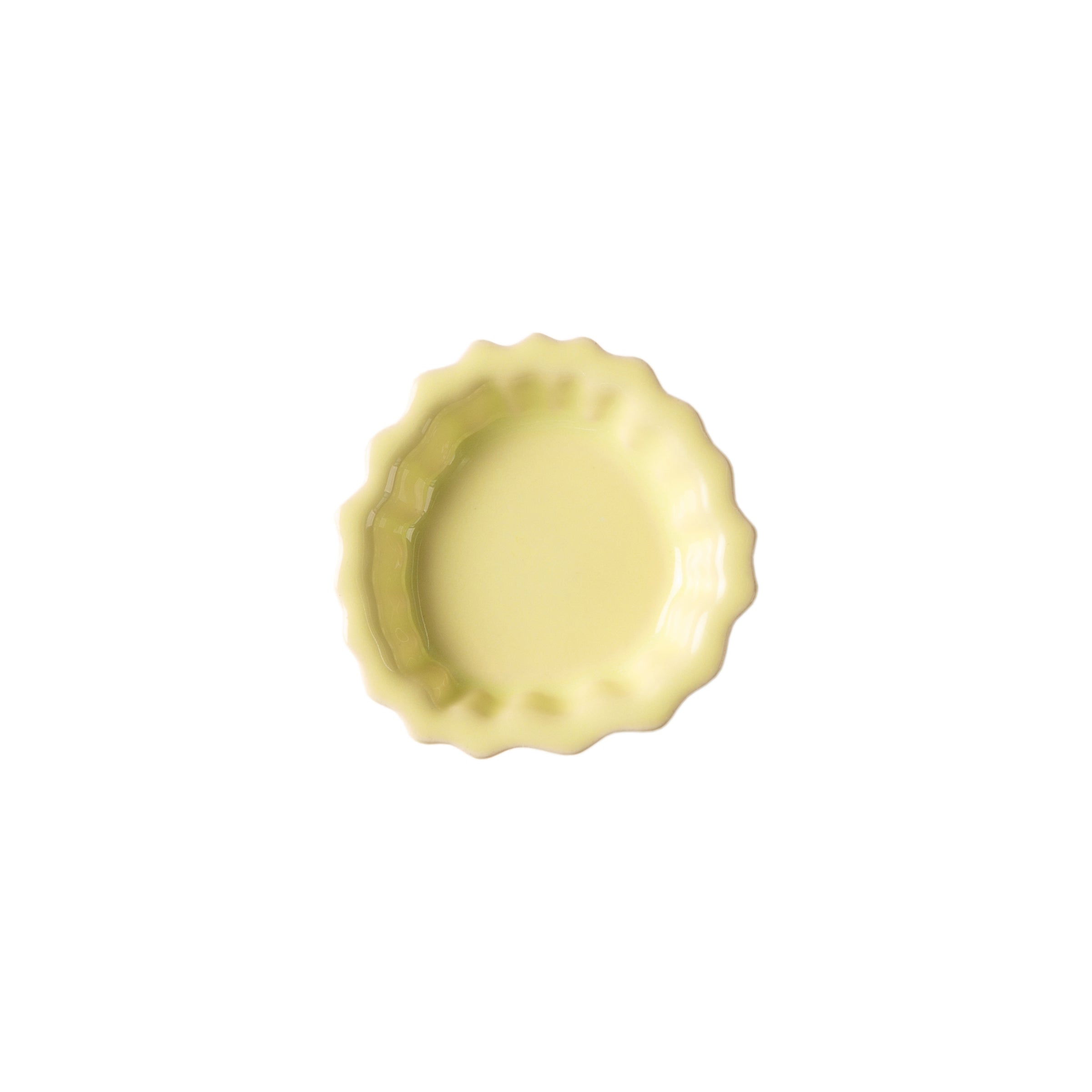 Fossil Wall Hook - The Coral