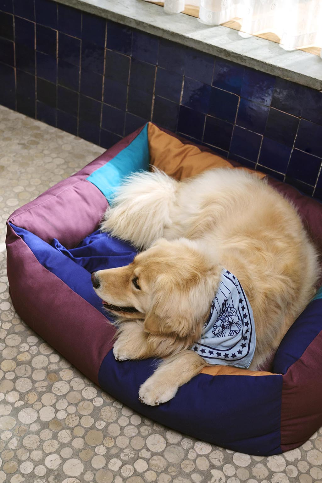 Pat pentru caini HAY- Mare - Burgundy, Green