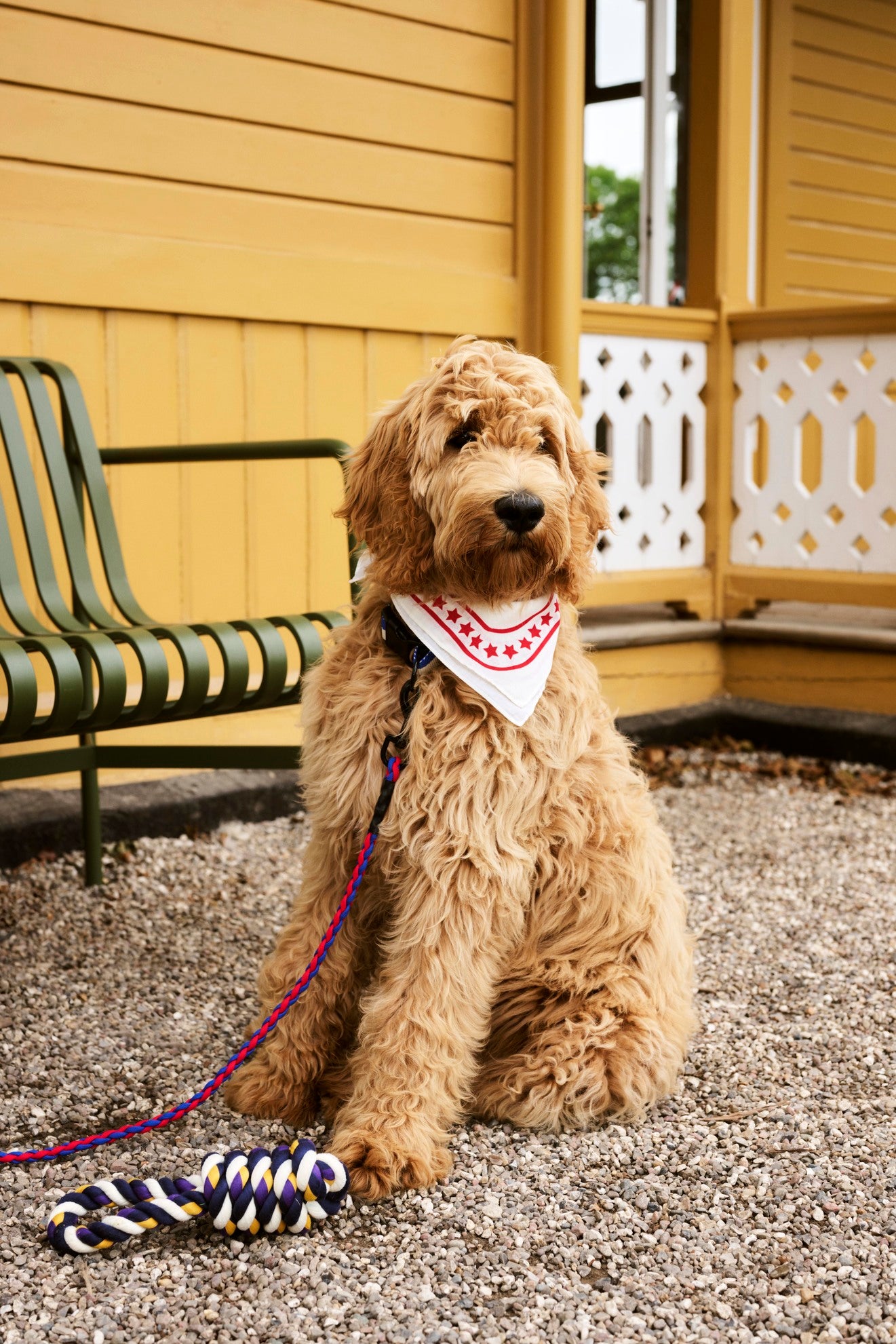 HAY Dogs Leash Braided Adjustable - Red/ blue