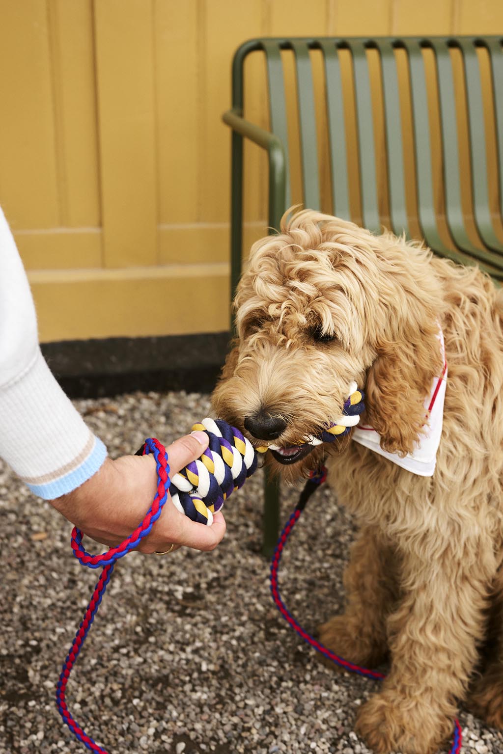 HAY Dogs Leash Braided - Red/ blue