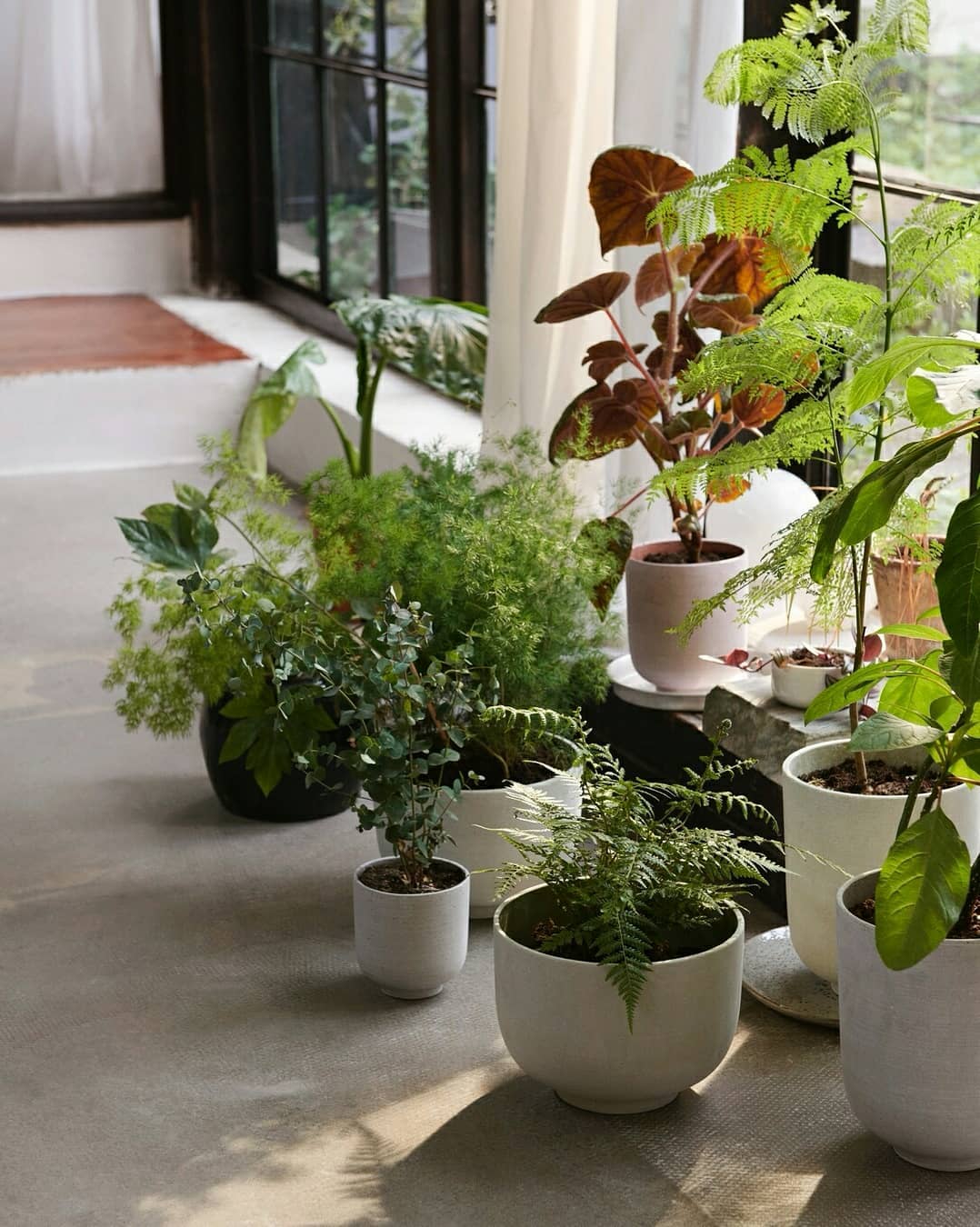 Ghiveci Collect Planter SC69 - Silver