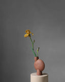 Sphere Vase Bubl, Medio -Terracotta