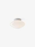 Mist AP22 Wall / Ceiling Lamp