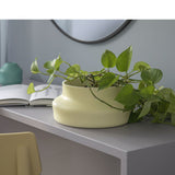 Dorotea Vase - Mellow Yellow