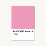 Pantone Postcard Box