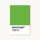 Pantone Postcard Box