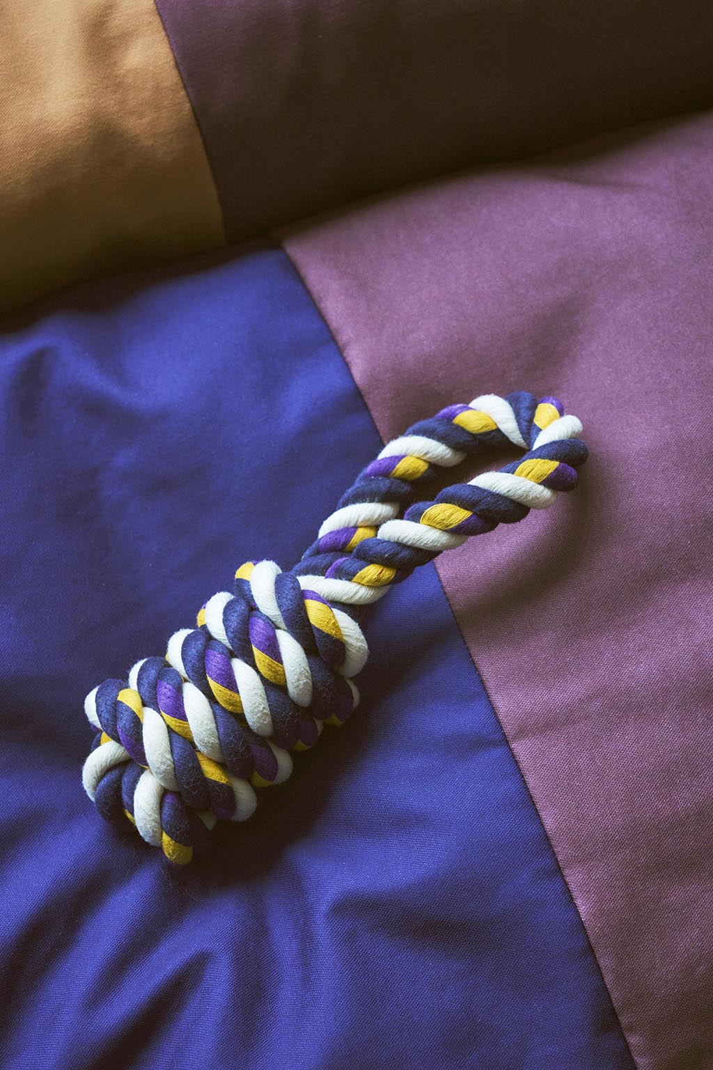 Jucărie pentru câini HAY - Blue/ Purple/ Ochre