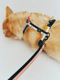 HAY Dogs Harness - Medium - Multi colour