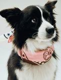 HAY Dogs Scarf (Recycled) - Pink