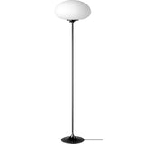 Stemlite Floor Lamp
