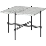 TS Coffee Table Square