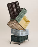 Colour Crate M Dark Green