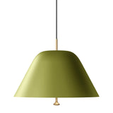 Levitate Pendant 40 - Sage green / Brass