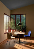 Collect Tray SC64, Natural Oak