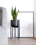 Anastasia Benko - Josephine