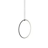 Arrangements Round Medium Pendant