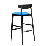 Claretta Bar / Counter Stool