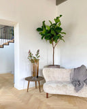 Collect Glass Vase, Medium SC36 - Clear