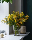 Collect Glass Vase, Small SC35 - Clear