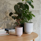 Collect Planter SC70 - Silver