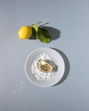 MILK Plate Ø20 - Vanilla