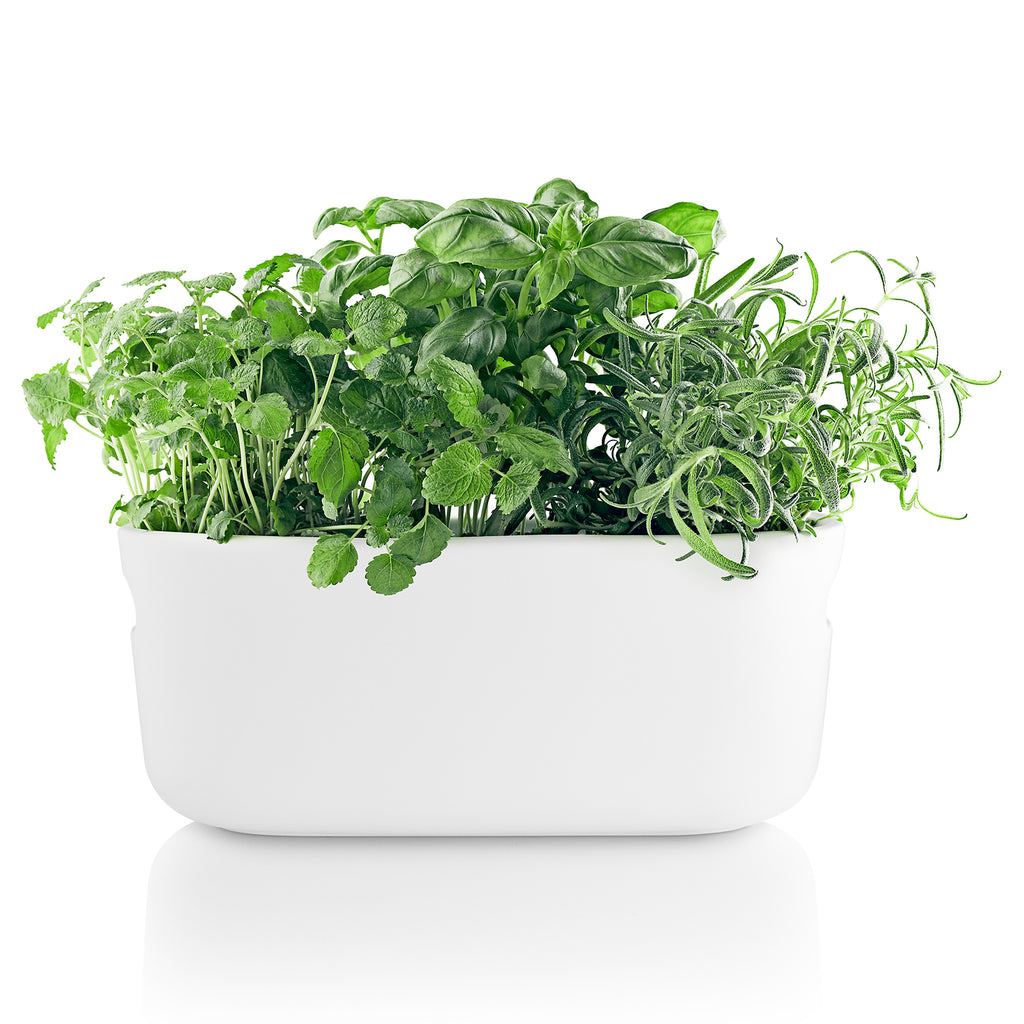 Self watering herb organiser - White