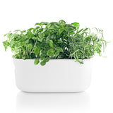 Self watering herb organiser - White