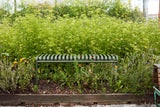 Palissade Bench - Hot Galvanised