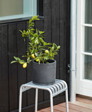 Palissade Stool - Hot Galvanised
