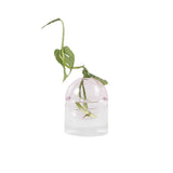 Flower Bubble Vase Rose