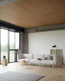 VV Cinquanta Floor Lamp - Black frame, black reflector