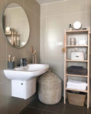 Zone Ume Toothbrush Mug Grey