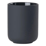 Zone Ume Toothbrush Mug Black